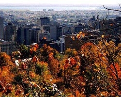Montreal view from Mont Royal park
