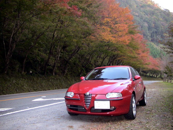 Alfa147