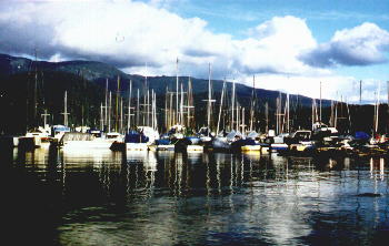 DeepCove1