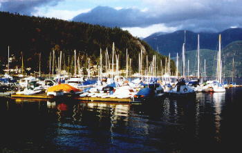 DeepCove2